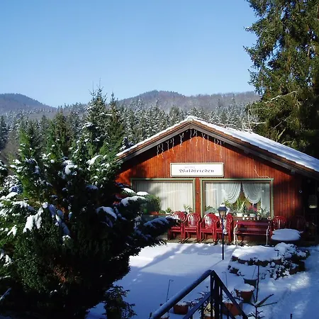 Ferienhotel Waldfrieden-3